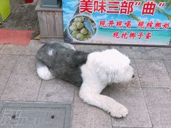 -扬州三头宴(东关街店)