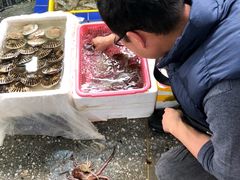 -霞涌市场海鲜摆卖区