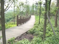 -大渡口区义渡公园