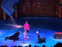 -烟台海昌鲸鲨海洋公园