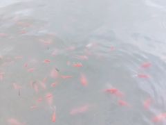 -西宁市人民公园(城西区)