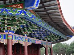 -铁山坪森林公园