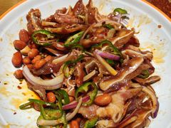 凉菜猪耳朵-九毛九西北菜(大东海店)