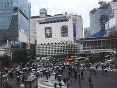 -涩谷区