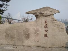 -大渡口区义渡公园