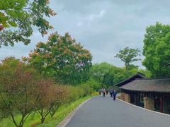 -西溪国家湿地公园