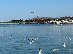 -巧克力渔家.小船海鲜胶东菜(万平口店)