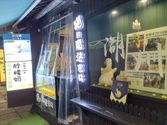 -猫的魔法密林(衣裳街店)