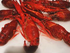 -红盔甲·小龙虾(天钥桥店)