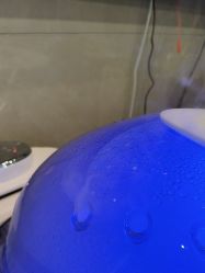 -碧莲盛·不剃发植发