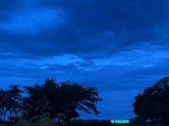 -亚龙湾红树林度假酒店-韩轩韩餐厅