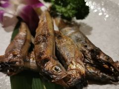 -酒井酱子·深夜食堂(东城汇店)