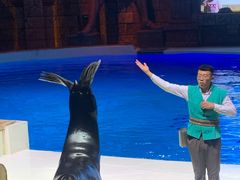 -波塞冬旅游度假区