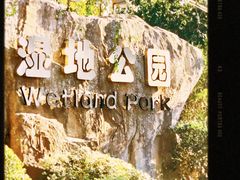 -前关湿地公园