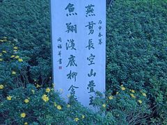 -重庆彩云湖湿地公园