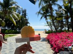 -海南清水湾莱佛士酒店