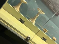 -鸿山遗址博物馆