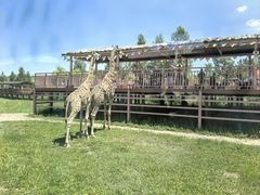 -鄂尔多斯野生动物园