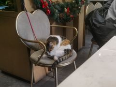 -后海16号·北京私房菜