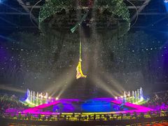 -灵玲国际马戏城