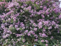 -杭州城北体育公园