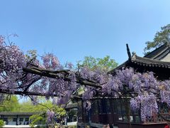 -拙政园