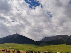 -新疆那拉提国家旅游度假区