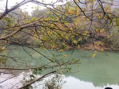 -白马涧龙池景区