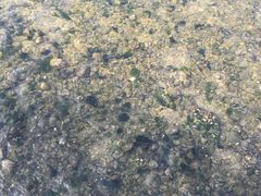 -星海蹦极娱乐