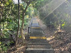 -清溪大王山森林公园