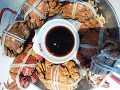 -杨氏青龙虾·羊蝎子(金盛路总店)