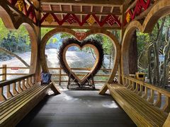 -海南霸王岭国家森林公园