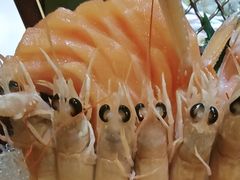 -吉兆·料理(红梅南路店)