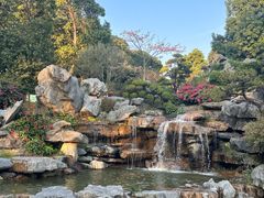 -东莞植物园