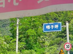 -沣峪口