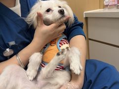 -瑞派康怡24h宠物医院·犬猫医疗中心·微创绝育(瑞景分院)