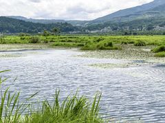 -腾冲北海湿地