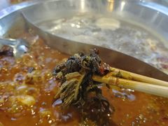 -铭记蛙小仙·活蛙畅享(CBD万达广场店)