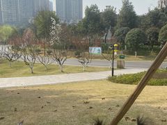 -沐仙湖湿地公园