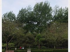 -黄村公园