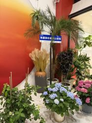点击看大图 -阅年轻·AI家庭健康体质调理