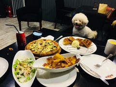 -百好乐宠物友好餐厅(朝外大街店)