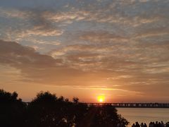 -宝安西湾红树林湿地公园