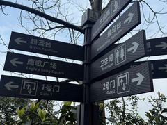 -大金鹰园