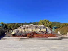 -北京西山国家森林公园