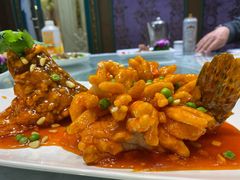 松鼠鲑鱼-金米箩大酒店(五角场店)