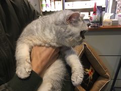 -PETKIT小佩宠物(古北店)