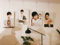 -Cappucimeow猫咪咖啡馆(韦伯时代店)