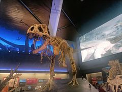 -贝林大翅鲸简餐厅(国家海洋博物馆店)