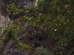 -雁荡山三折瀑景区